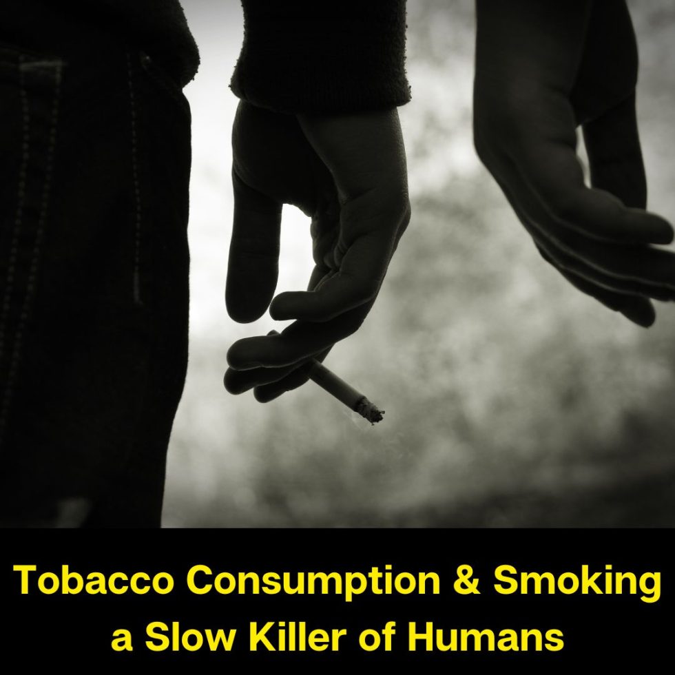 Tobacco Consumption and Smoking