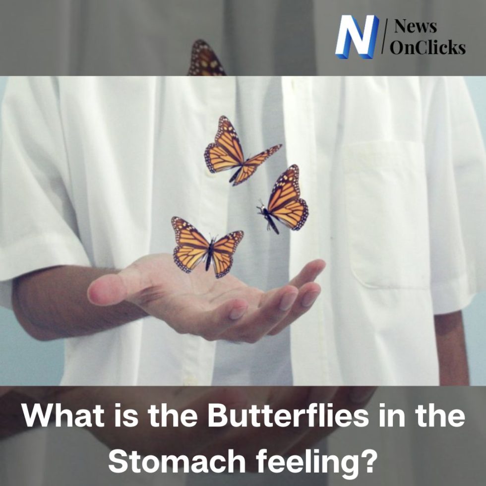 butterflies in the stomach