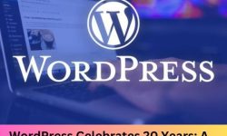 wordpress turns 20
