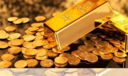 Investments in Digital Gold 