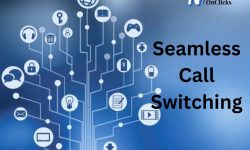 Seamless Call Switching